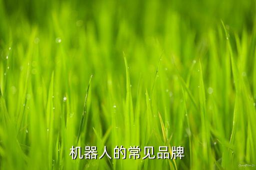 機器人的常見品牌