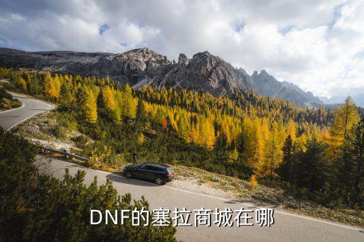 DNF的塞拉商城在哪