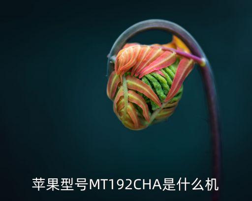 蘋(píng)果xr尺寸，蘋(píng)果型號(hào)MT192CHA是什么機(jī)