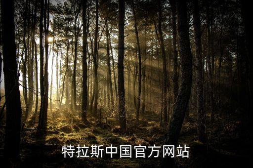 特斯拉中國官網(wǎng)，特斯拉model 3在中國上市了嗎