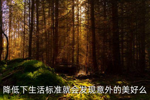 意外的美好全文免費(fèi)閱讀，降低下生活標(biāo)準(zhǔn)就會(huì)發(fā)現(xiàn)意外的美好么