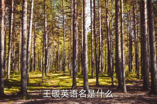 王暖，王暖好聽(tīng)嗎