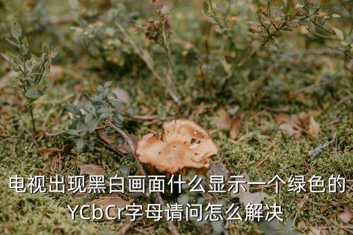 電視出現(xiàn)黑白畫面什么顯示一個(gè)綠色的YCbCr字母請(qǐng)問怎么解決