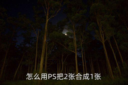 張合成，怎么用PS把2張合成1張
