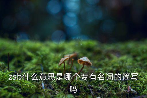 zsb什么意思是哪個(gè)專有名詞的簡寫嗎