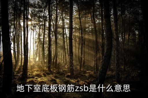 地下室底板鋼筋zsb是什么意思