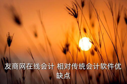 友商網(wǎng)在線會計 相對傳統(tǒng)會計軟件優(yōu)缺點