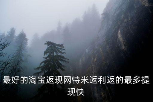 temi，最好的淘寶返現(xiàn)網(wǎng)特米返利返的最多提現(xiàn)快