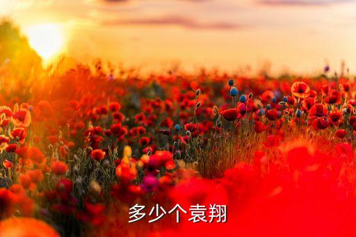 袁翔，姓袁輩分翔字叫什么