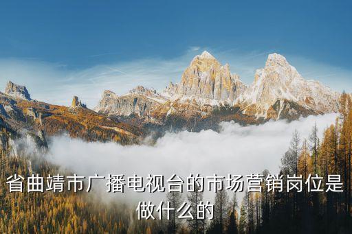 廣電數(shù)據(jù)業(yè)務(wù)市場(chǎng)營(yíng)銷(xiāo),中國(guó)廣電營(yíng)銷(xiāo)待遇