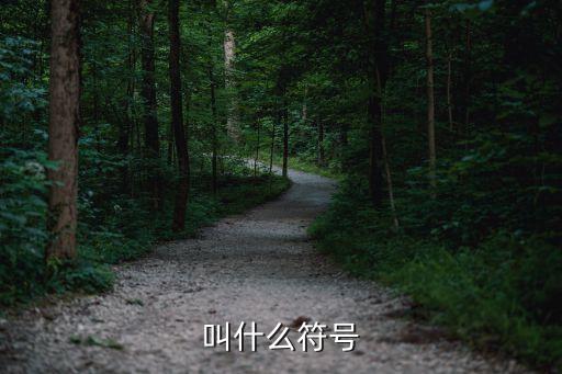 叫什么符號(hào)，叫什么符號(hào)