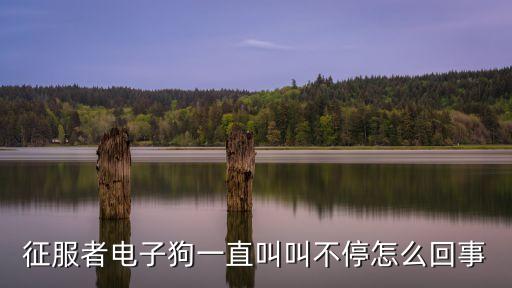 征服者電子狗，電子狗征服者模式設(shè)置