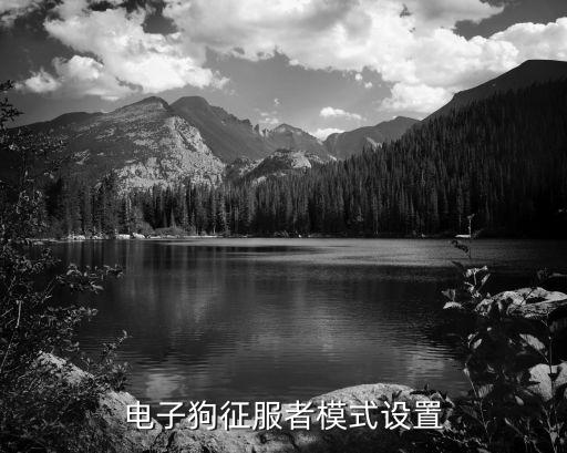 電子狗征服者模式設置