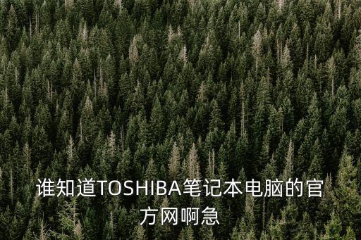 東芝筆記本官網(wǎng)，東芝的官網(wǎng)是