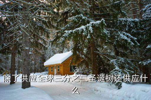 除了供應(yīng)全球三分之二圣誕樹還供應(yīng)什么