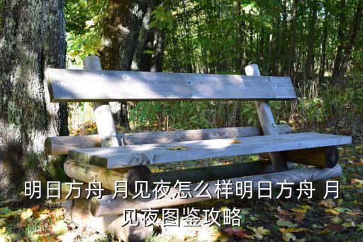 月見夜,如何進行明天圖鑒攻略?