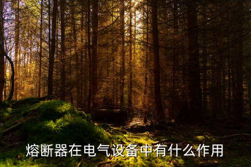 電氣自動化熔斷器有什么作用,電氣控制電路中保險絲的功能