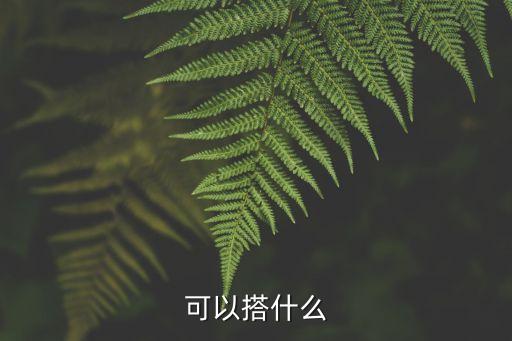 積木汽車機(jī)器人,用積木拼汽車機(jī)器人