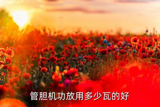 電子管功放膽機(jī),膽囊功放的優(yōu)缺點(diǎn)