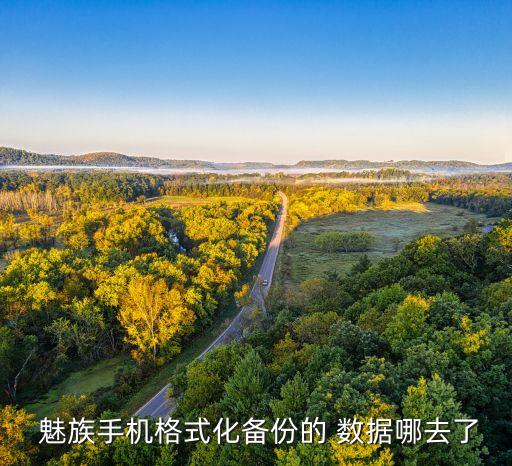魅族數(shù)據(jù)設置在哪里,魅族恢復出廠設置在哪里