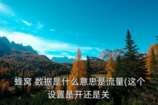  蜂窩 數(shù)據(jù)是什么意思是流量(這個(gè)設(shè)置是開還是關(guān)
