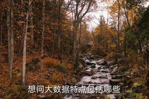 網(wǎng)絡(luò)大數(shù)據(jù)的六個特點,大數(shù)據(jù)有哪些特點?