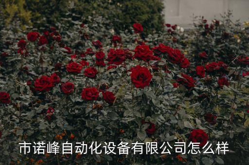 深圳諾峰自動(dòng)化設(shè)備招聘,諾匹克自動(dòng)化設(shè)備有限公司招聘