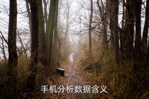 蘋果收集使用數(shù)據(jù)分析,app數(shù)據(jù)收集