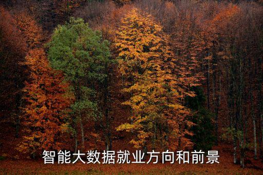 智能維護(hù) 大數(shù)據(jù),大數(shù)據(jù)與大智能
