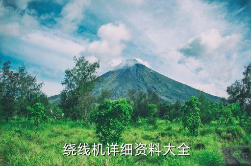 繞線機(jī)自動化設(shè)備回收,電機(jī)繞線機(jī)自動化設(shè)備有哪些