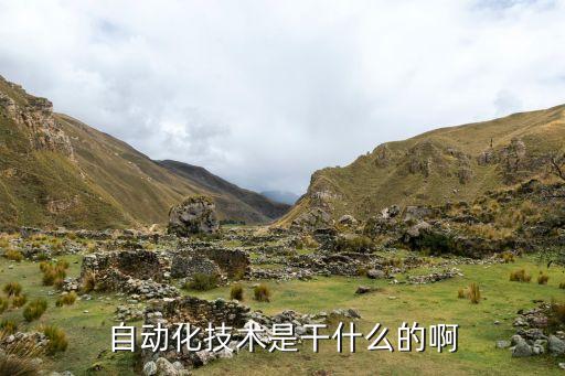 自動(dòng)化技術(shù)是干什么的啊