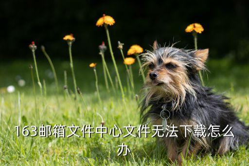 163郵箱泄密數(shù)據(jù)庫(kù)下載,網(wǎng)易郵箱數(shù)據(jù)庫(kù)