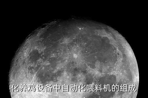 河南自動化養(yǎng)雞升溫設(shè)備,小型自動養(yǎng)雞設(shè)備