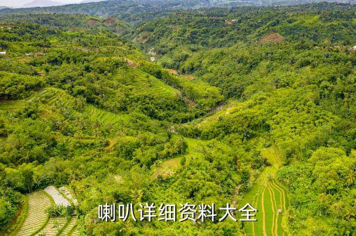 外磁喇叭自動化設備,揚聲器自動化設備視頻