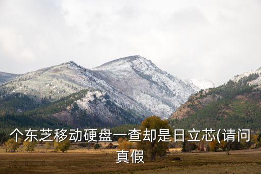 東芝芯片西部數(shù)據(jù)、西部數(shù)據(jù)和東芝