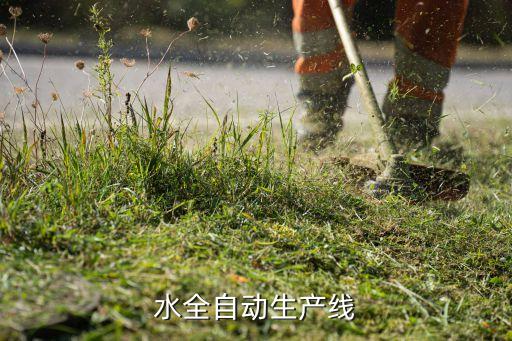 水全自動(dòng)生產(chǎn)線